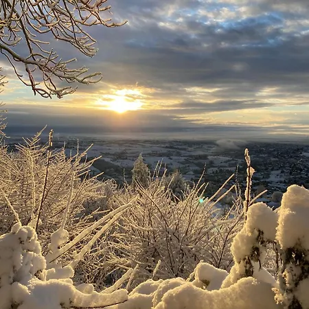 Villa Torre Di Montosolo