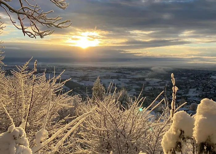 Villa Torre Di Montosolo